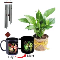 Wonderful Personalized Photo Radium Mug with Money Plant N Wind Chime to Lakshadweep