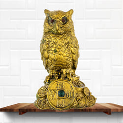 Mesmerizing Feng Shui Owl Showpiece for Money and Wisdom to Thammampatti