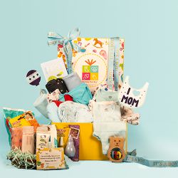 Exclusive New Born Baby Boy Summer Hamper to Nagercoil