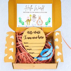 Exclusive Hello World Plaque for Newborn to Marmagao