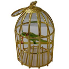 Wonderful Golden Plated Bird Cage with Colorful Parrot to Hariyana