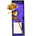 Wonderful Golden Rose Stick to Irinjalakuda