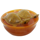 Exclusive Fengshui Bowl with  Tortoise to Kanyakumari