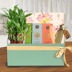 Healthy Healing Gift Combo for Mother to Palai