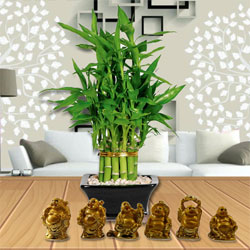 Elegant Moms Day Gift of 2 Tier Bamboo Plant N Laughing Buddha Set to Marmagao