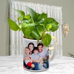 Lucky Money Plant in Personalized Coffee Mug for Mom to Sivaganga