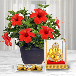Decorative Hibiscus Plant with Ganesh Idol N Chocolate to India