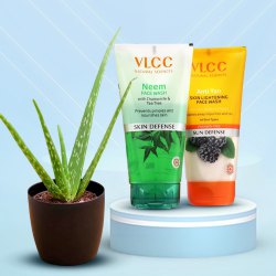 Self Care Aloe vera Plant n Face Washes Combo to Lakshadweep