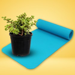 Breath Fresh - Jute Wrap Jade Plant n Yoga Mat Duo to Kanjikode