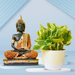 Good Fortune - Air Purifying Golden Pothos Plant n Buddha Idol Duo to Kanjikode