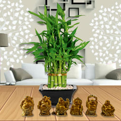 Exquisite 2 Tier Bamboo Plant with Set of Laughing Buddha to Perumbavoor