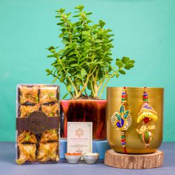 Charming Rakhi Celebration Set with Baklava  N  Plant