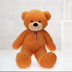 Exclusive Teddy Bear  to Zirakhpur