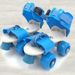 Exclusive Roller Skates with Adjustable Inline Skating Shoes to Zirakhpur