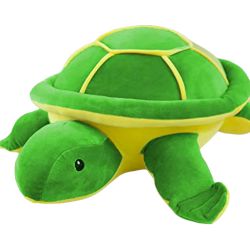 Exclusive Little Turtle Soft Toy to Cooch Behar