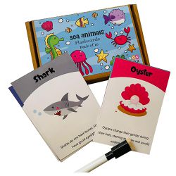 Underwater Adventure Flashcards to Viluppuram