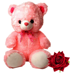 Gift this Big Teddy Bear to your loved ones. (30 inch) to Chittaurgarh