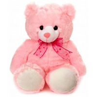 Soft Teddy for Birthday Gift to Cooch Behar