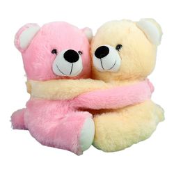 Delightful Pair of Teddies with Essence of Romance to Worldwide_product.asp